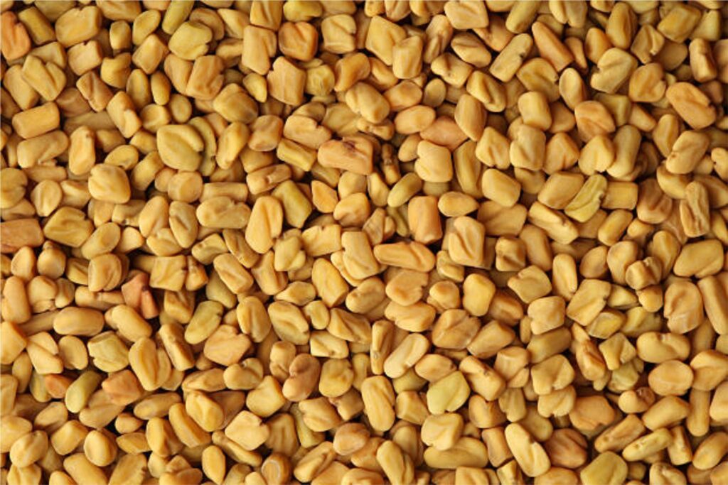 Fenugreek-1