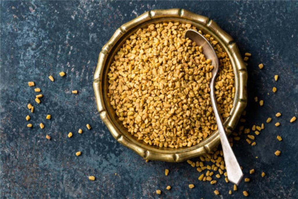 Fenugreek-2