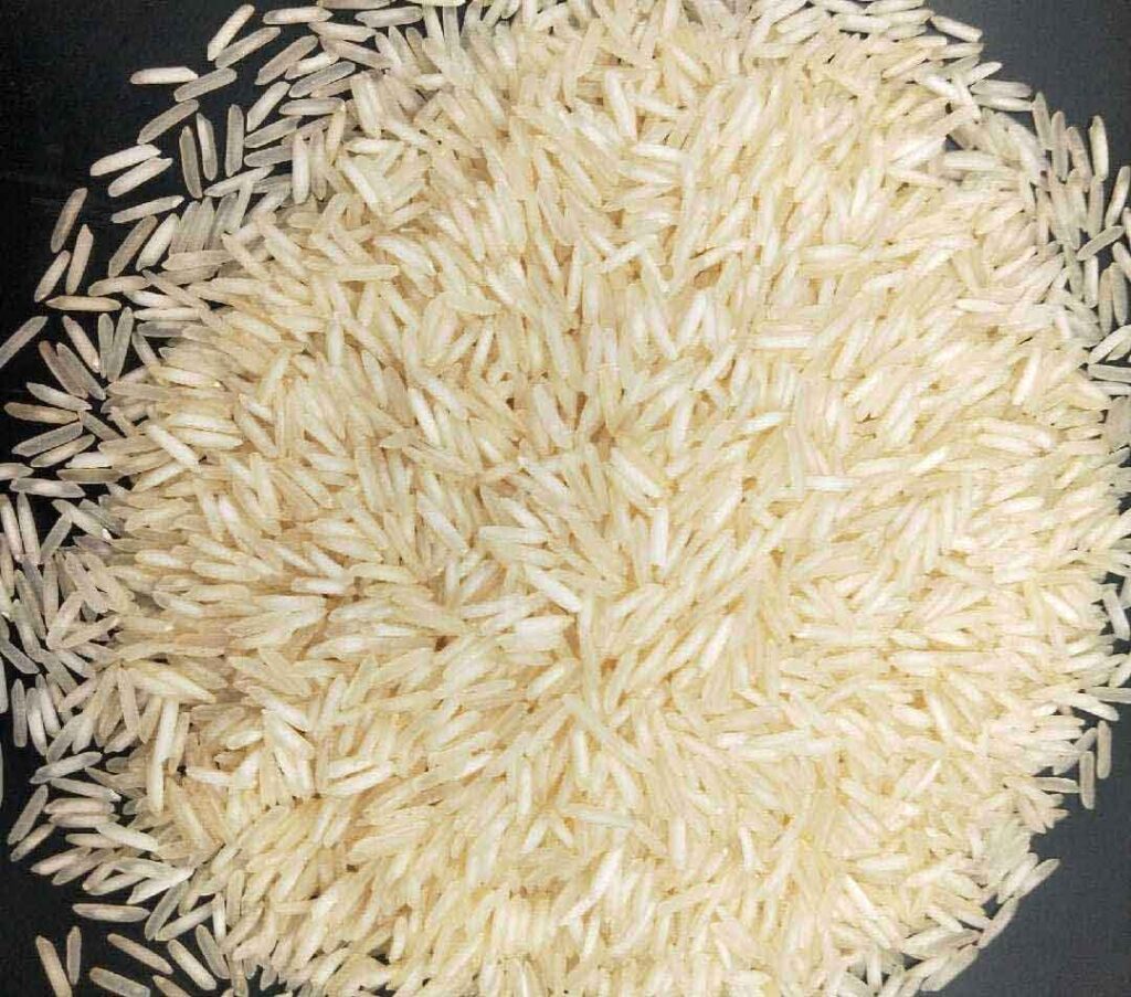 1121-steem-basmati-rice