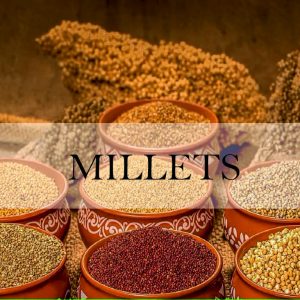 MILLETS N